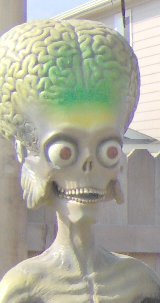 02.jpg